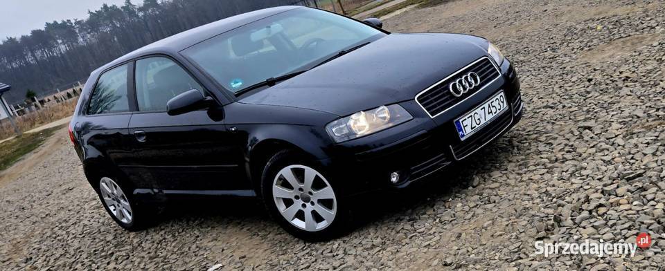 Audi a3 8p 16 mpi Zadbana Zarejestrowana bez benzyna A3 Żagań