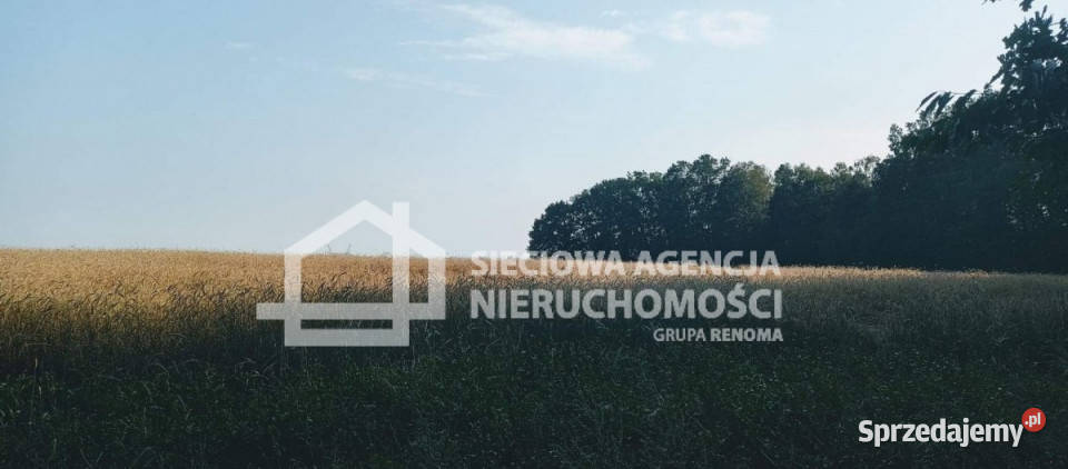 Grunt na sprzedaż 32911m2 Wilkowo Nowowiejskie