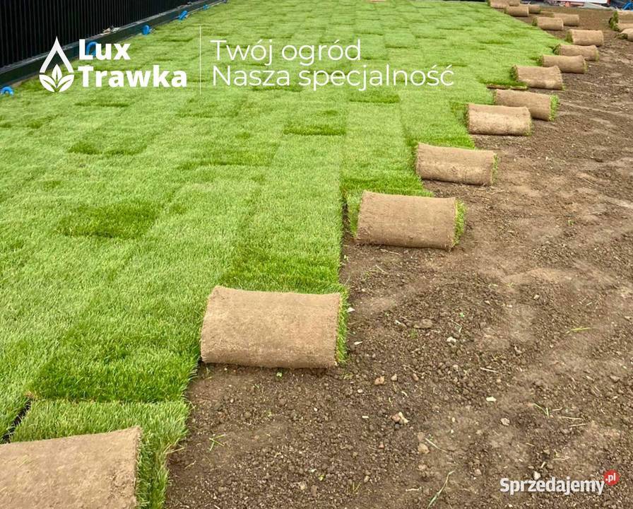 Trawa w rolce Dostawa na terenie całej Ogród Kraków