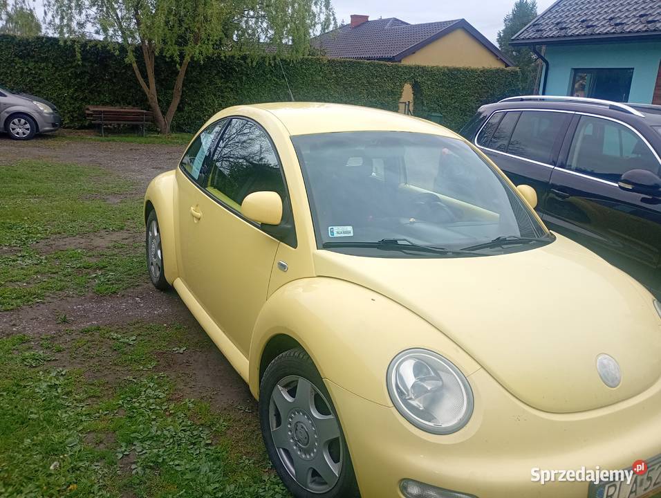 Volkswagen Beetle Lubaczów