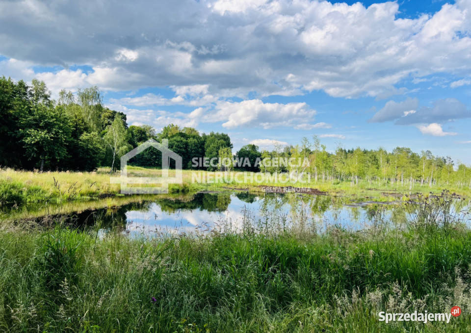 Działka 103582m2 Jaroszewy 10358.2m2 sprzedam