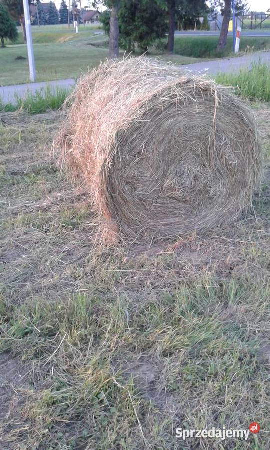 Siano Bochnia sprzedam