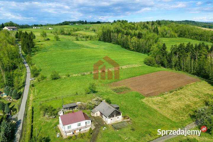 Grunt sprzedam 1300m2 Wielopole Skrzyńskie Sprzedaż sprzedam