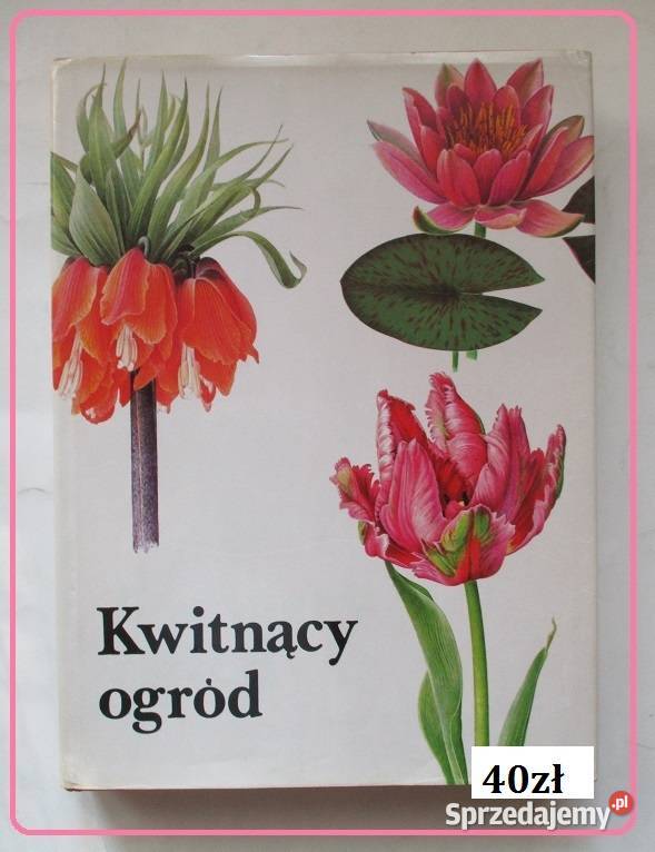 Rośliny ozdobne ogrodowe pokojowe ogród uprawa Łódź