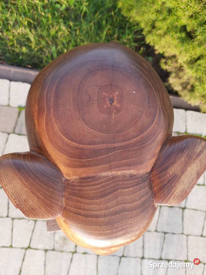 kwietnik podstawa słoń wielkopolskie