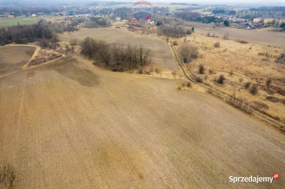 Działka rolna Grabowno Wielkie gm Twardogóra dolnośląskie