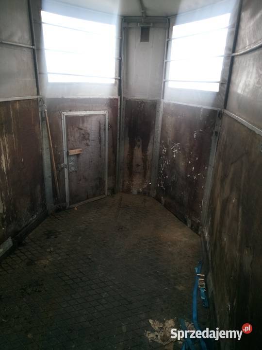 Przyczepka do przewozu koni koniarka Benalu Nowy Żmigród