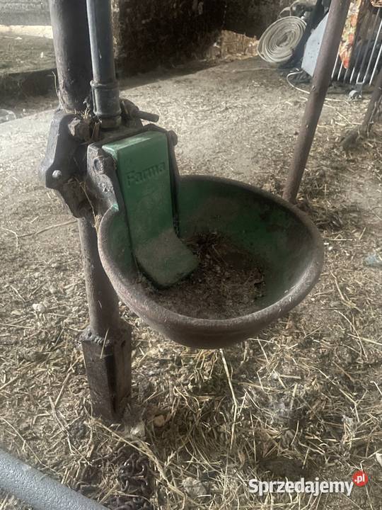 Poidło bydła Głowno