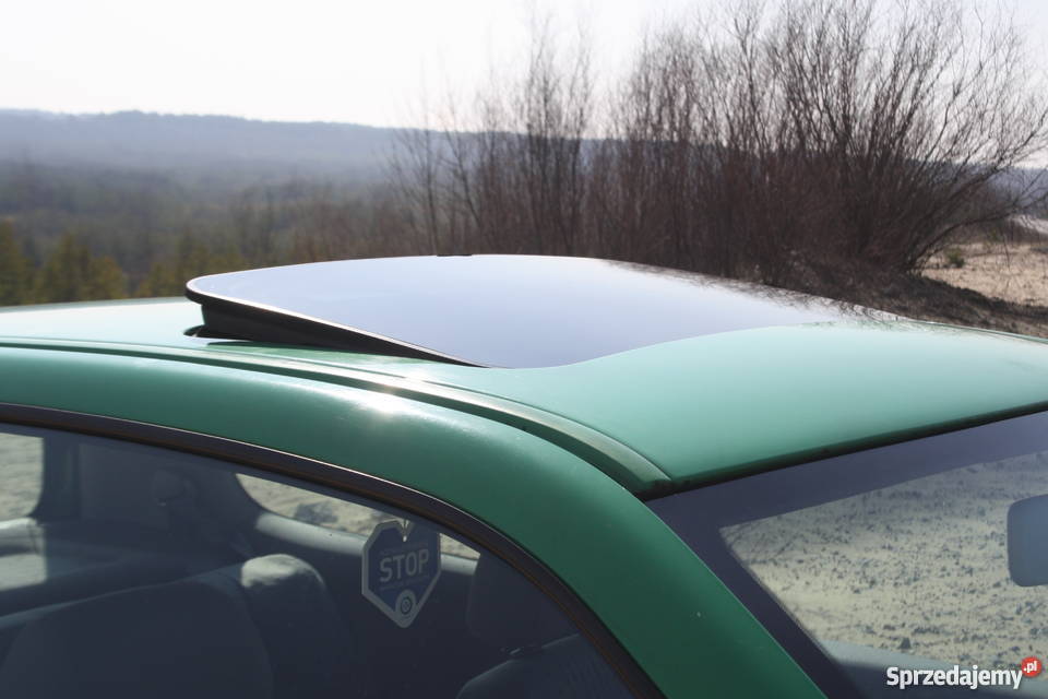 Volkswagen polo 6n2 19 SDI 45L100 Igła Hatchback Sosnowiec