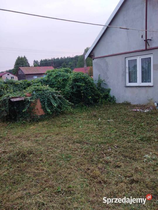 Sprzedam działkę budowlaną z domem siedlisko Grodzisk