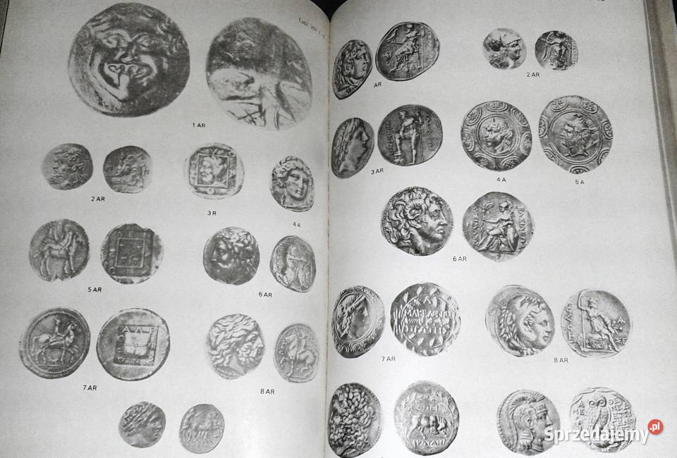 Vademecum historyka starożytnej Grecji i Rzymu Chełm