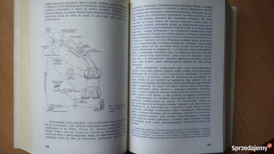Biologiczne Mechanizmy Zachowania PWN Książki naukowe i popularnonaukowe Olsztyn