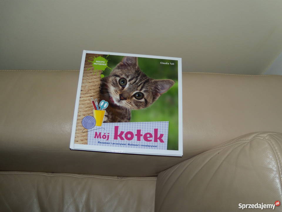 Claudia Toll Mój kotek mazowieckie Warszawa