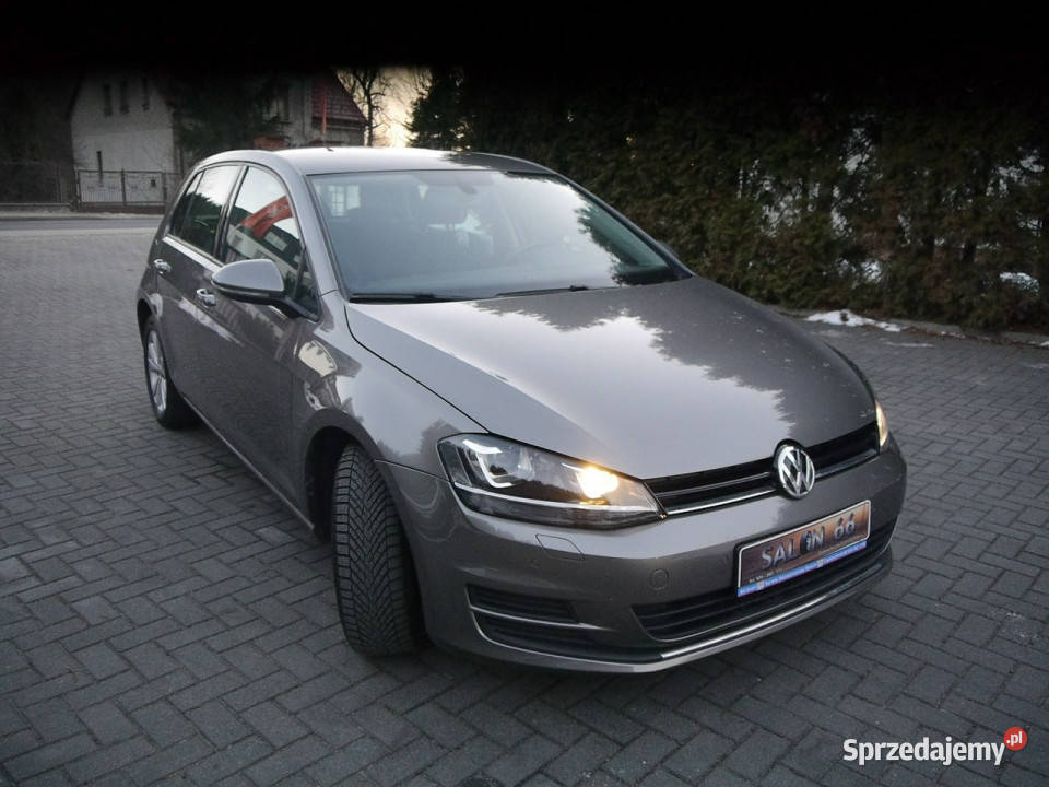 Volkswagen Golf 14 120 Stan Idealny szary Częstochowa
