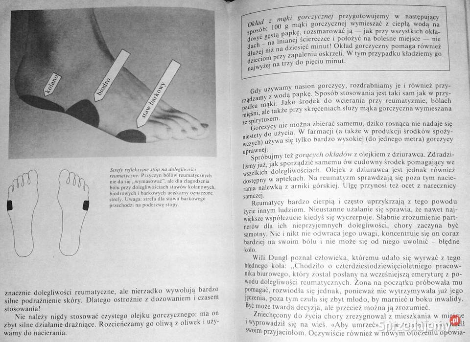 Naturalne metody lecznicze Wolfgang Exel Willi Rok wydania 1995 Chełm