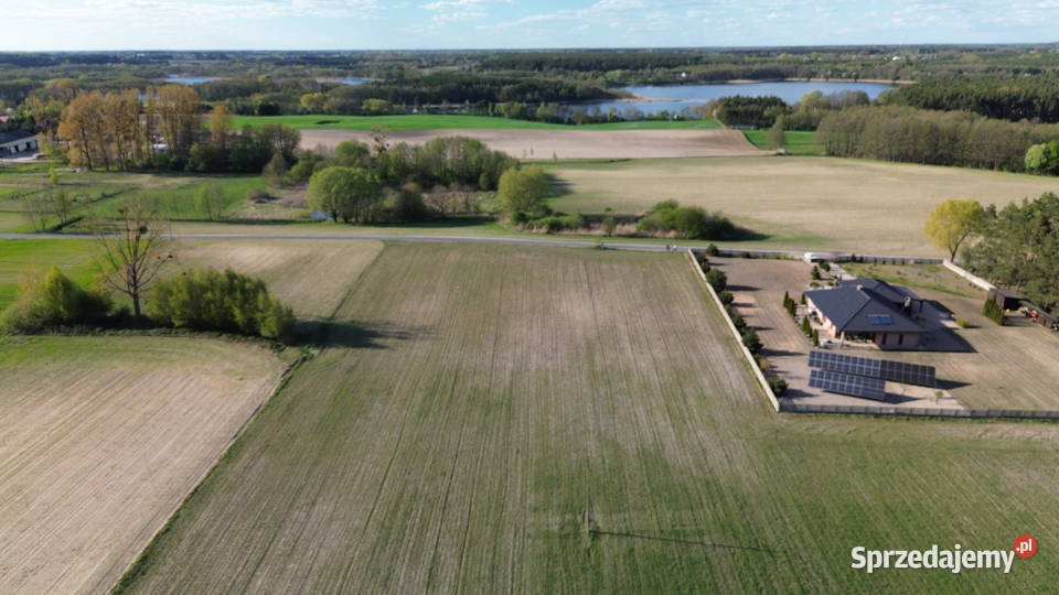 UROKLIWE DZIAŁKI TUŻ LESIE LUBOCHNIA sprzedam