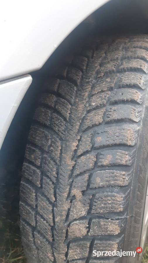 Renault Scenic Turobin