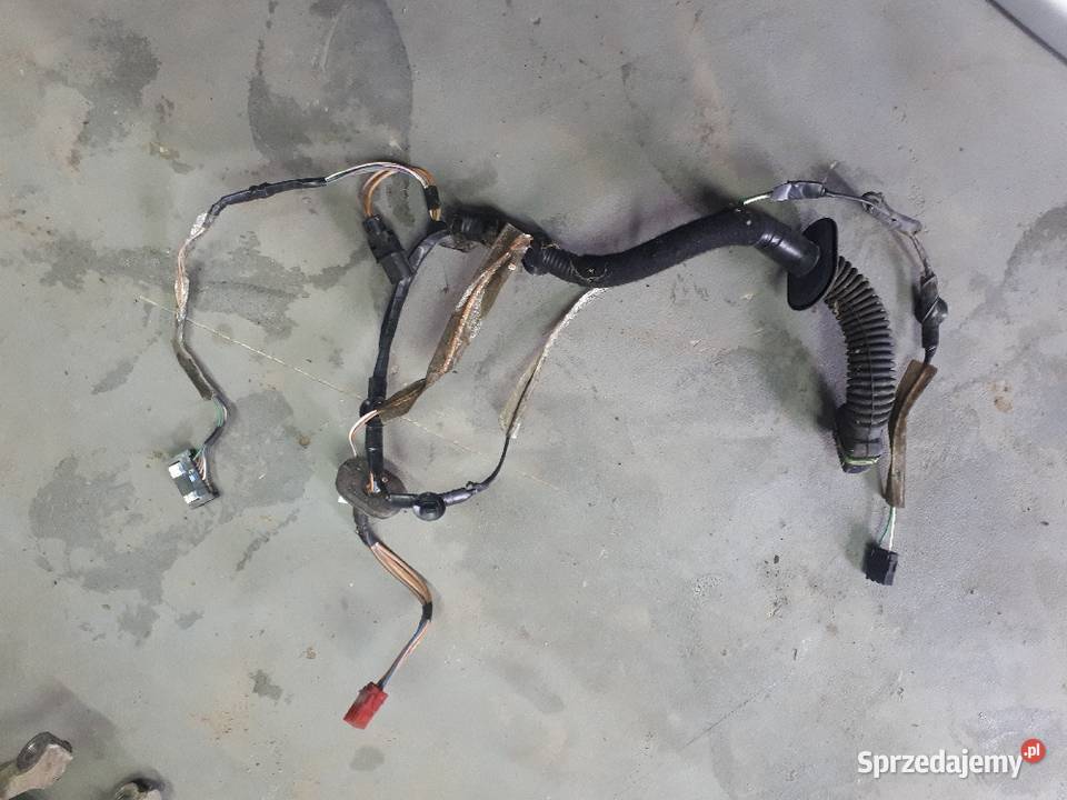 Wiązka drzwi Przód Megane 1 osobowe świętokrzyskie Sandomierz