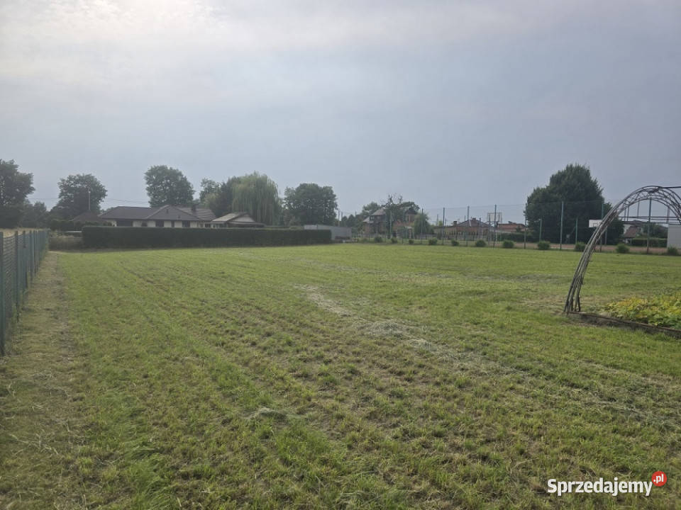 Jedlec sprzedam działkę wielkopolskie sprzedam
