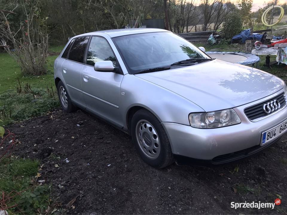 Audi a3 8l Lift