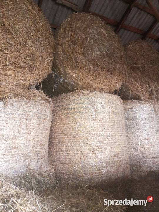 Słoma Miłochniewice