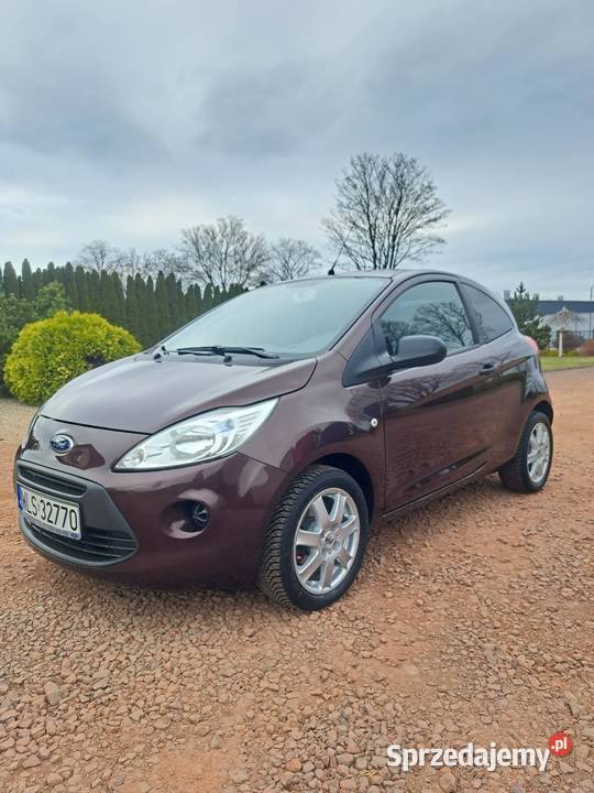 Ford Ka 12 Polski Salon 2015r nieuszkodzony Siedlce