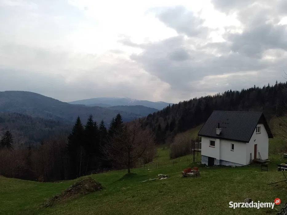 Domek letniskowy na wynajem agroturystyka Przyborów