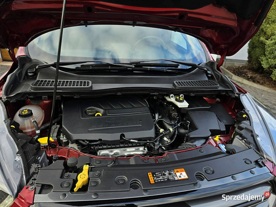 Ford Kuga serwis ASO panorama dach Full Led II śląskie Rydułtowy