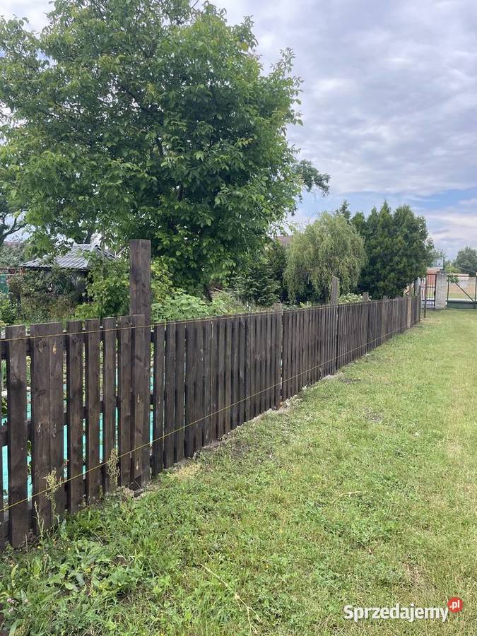 Aeracja wertykulacja trawnika pielęgnacja