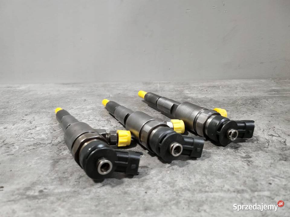 WTRYSKIWACZ 0445110075 PEUGEOT 14HDI Kartuzy