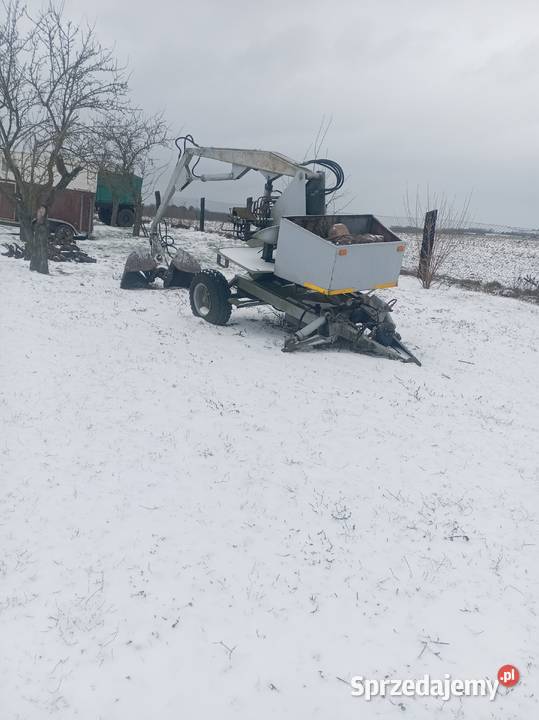 Cyklop zachodniopomorskie Myślibórz