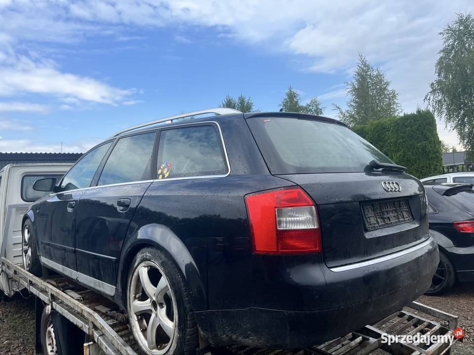 Audi A4 B6 19 TDI AFN automat bose wszystkie Motoryzacja Chocznia