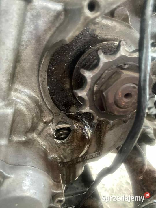 przedam Quada Yamaha Raptor YFM 350 Miedziana Góra