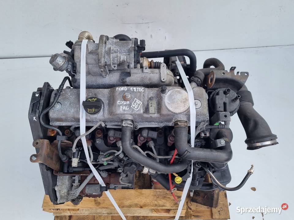 SILNIK KOMPL Ford Galaxy II MK2 18 TDCI 125 QYWA Silniki kompletne Janów