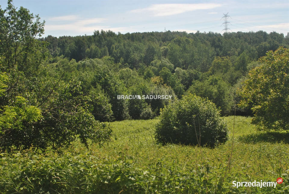 Działkę sprzedam Lusina 3800 metrów