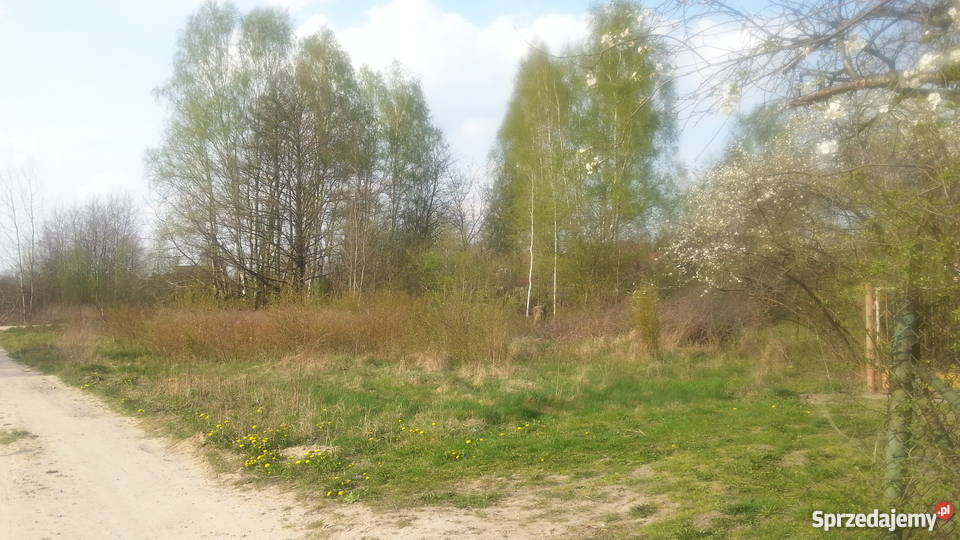 Sprzedam działkę Zalesie Górne 195zł/m2 Grunty i działki Zalesie Górne