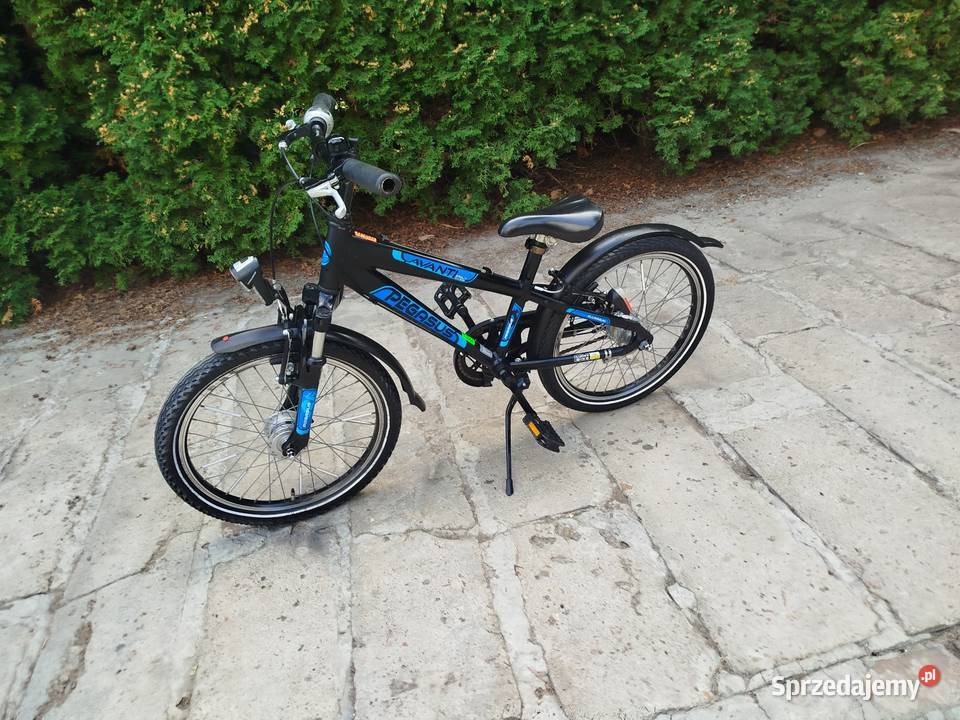 Rower dziecięcy Pegasus koło 20 przywieziono z Dziecięce lubelskie Zamość