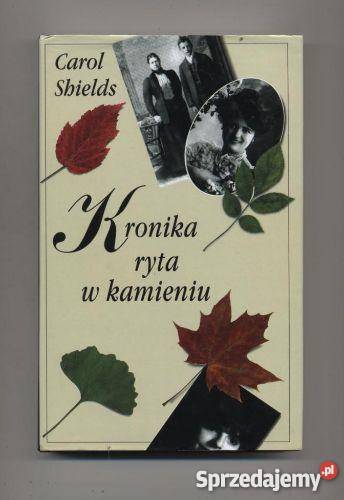 Kronika ryta w kamieniu Szczecin