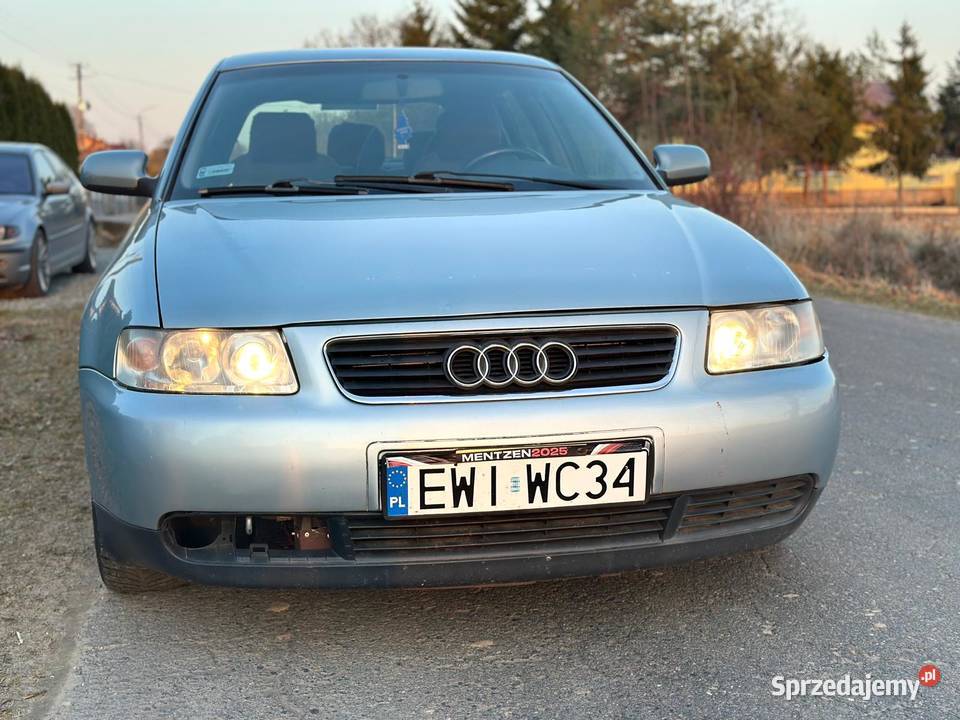 Audi A3 8L 16 8L16 Ekonomiczne Alu zadbany Rok produkcji 2003 Wieluń sprzedam