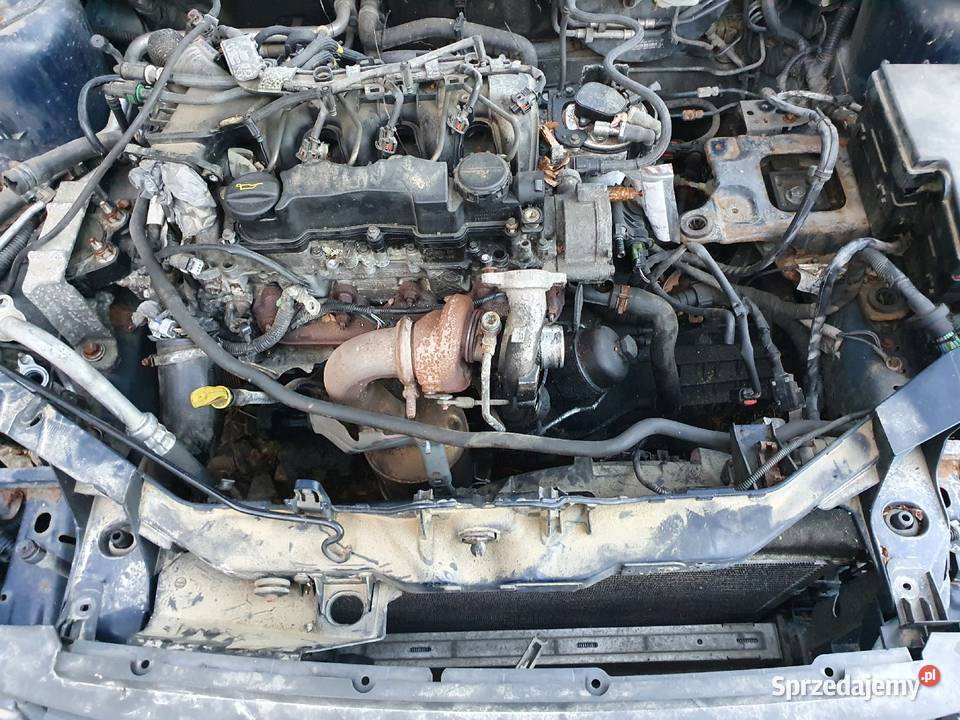 Nowe Sprężyny Czerwone Jamex Sportowe Ford Focus Sprężyny zawieszenia Części samochodowe
