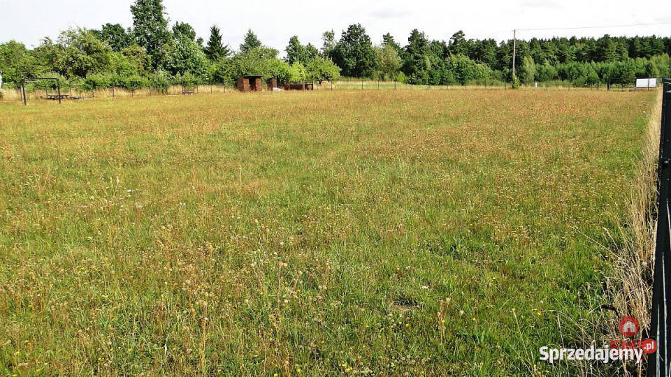 sprzedaży działki Letniki 4000m2 4000m2
