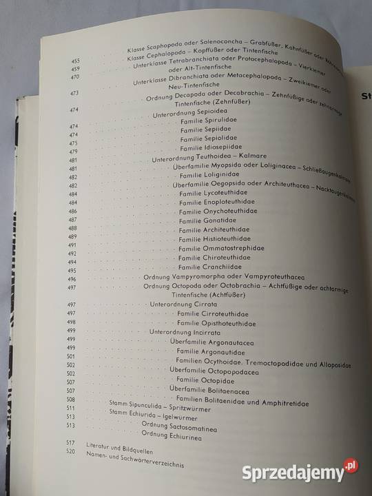 URANIA TIERREICH Protozoa bis Echiurida Hajnówka sprzedam