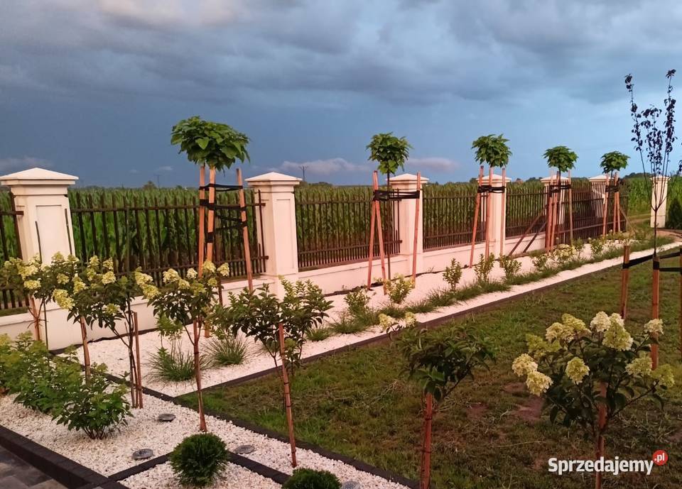 Ogrodzenia dworkowe stylowe pałacowe boniowane pomorskie Gdańsk