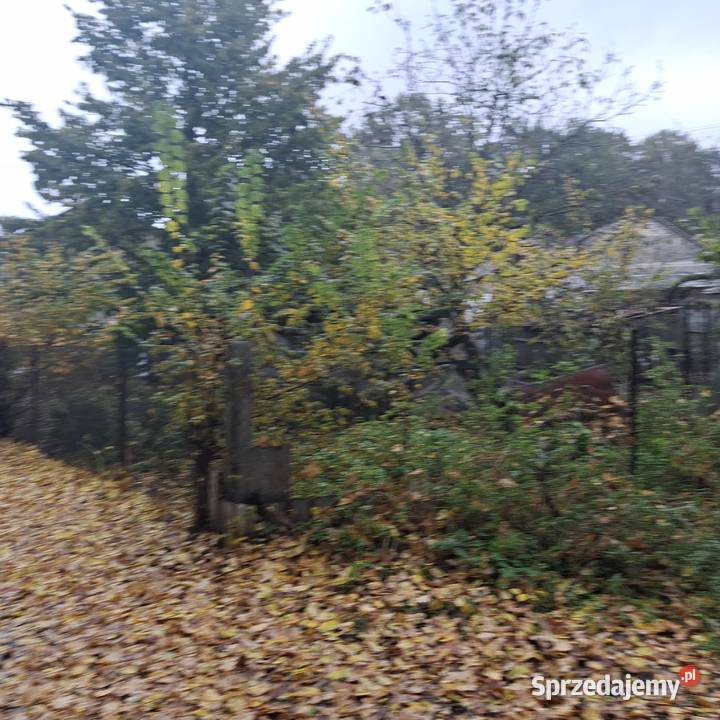 Syndyk sprzeda nieruchomość gruntową zabudowaną Teresław