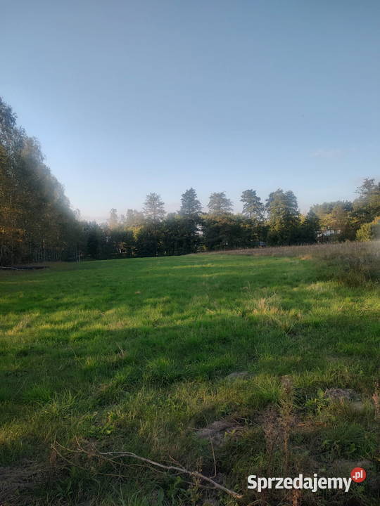 Działka Budowlana 2000m2 TUCHOLA PARK Sprzedaż