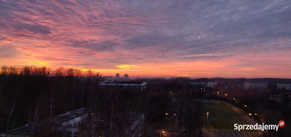 Mieszaknie z widokiem na Park Śląski Katowice sprzedam