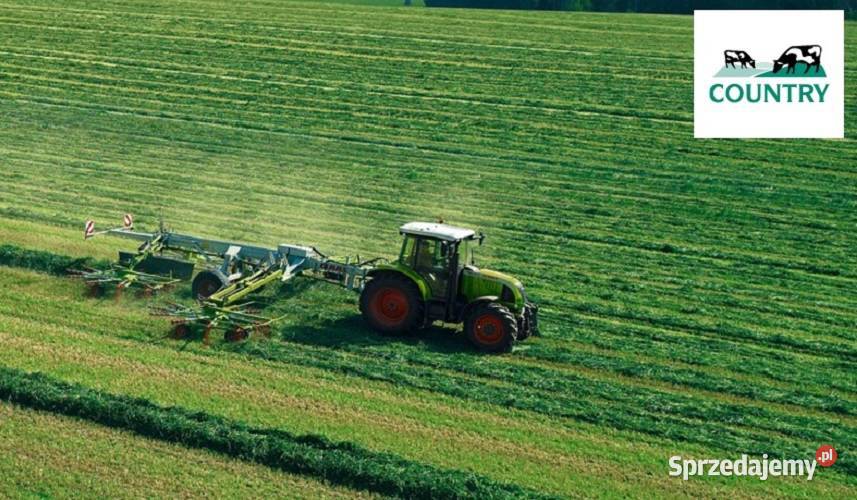 Lucerna PowerMix COUNTRY 2060 Mieszanka lucern kujawsko-pomorskie Tuchola