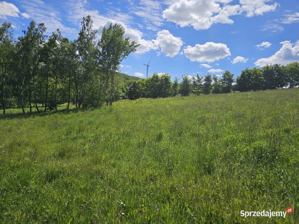 Syndyk sprzeda udział 14 w domu w Wolicy Bukowsko sprzedam