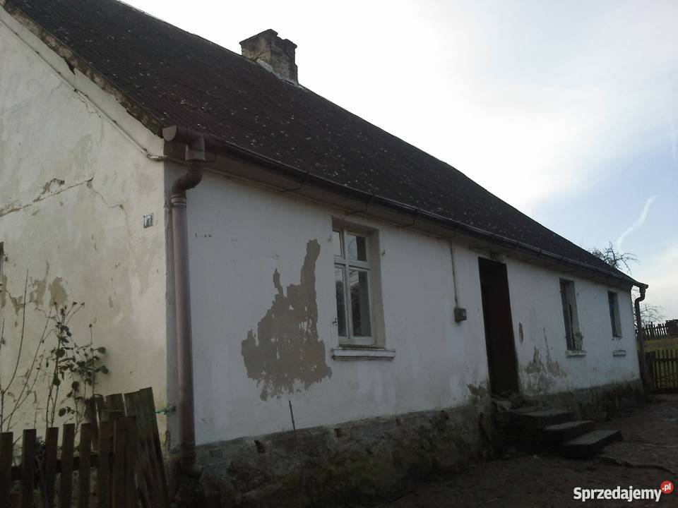 Dom działka budowlana Krzymów Chojna wolnostojący Krzymów