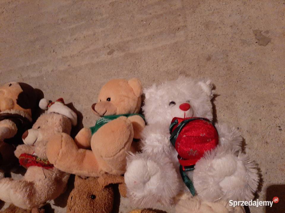 Pluszaki miś misie maskotki różne rodzaje Gorlice